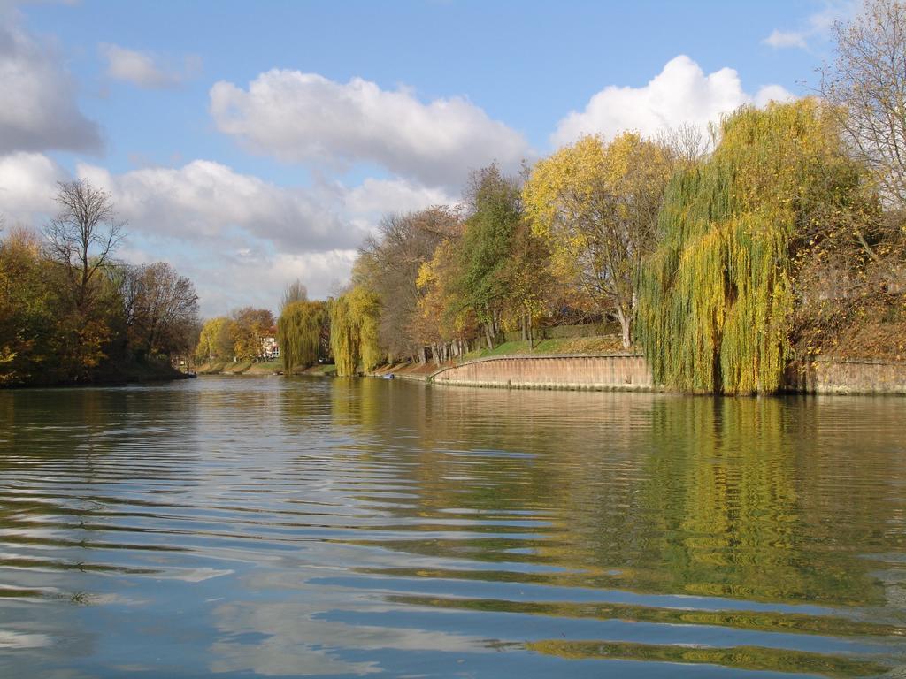 Chambre Avec Jardin Pierre Curie Bry-sur-Marne Zimmer foto